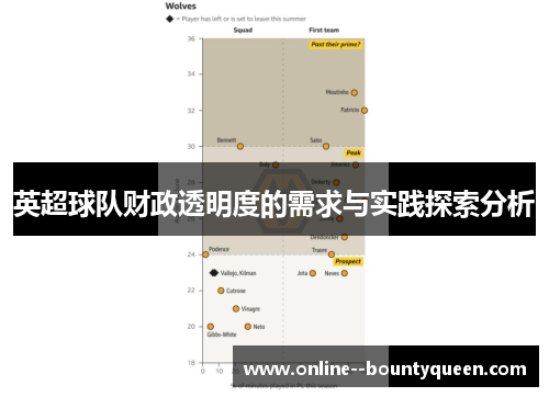 英超球队财政透明度的需求与实践探索分析