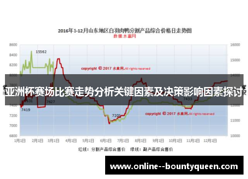 亚洲杯赛场比赛走势分析关键因素及决策影响因素探讨